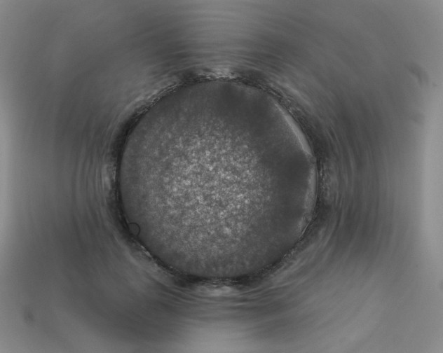 X0000113550747200910091304