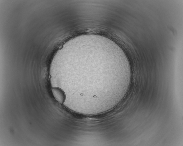 X0000113550748200910091304