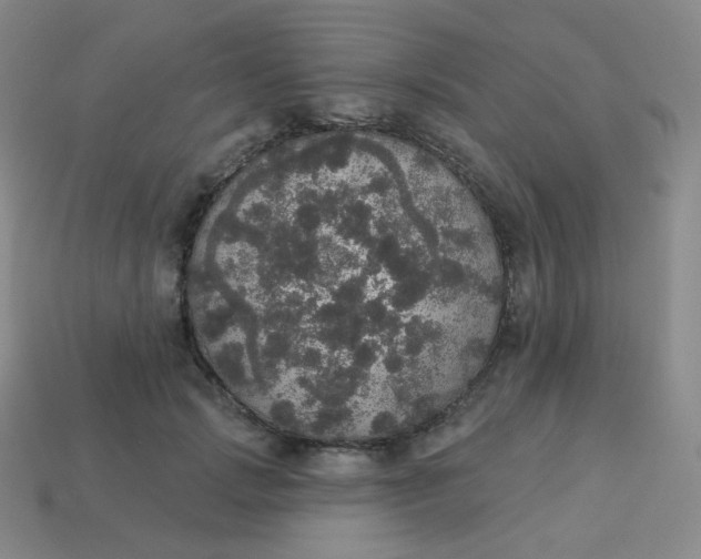 X0000113550749200910091304