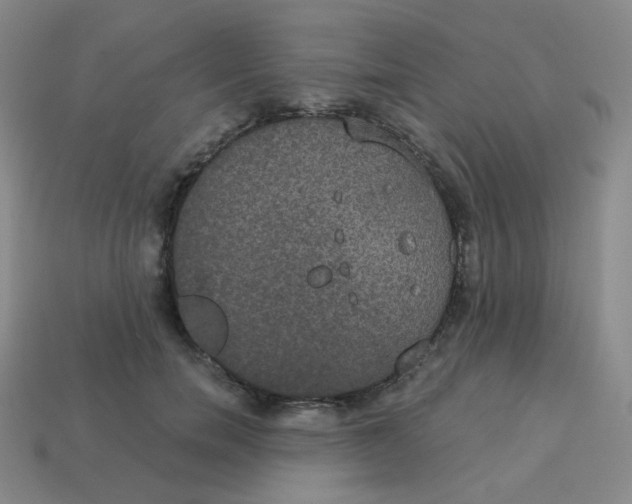 X0000113550750200910091304