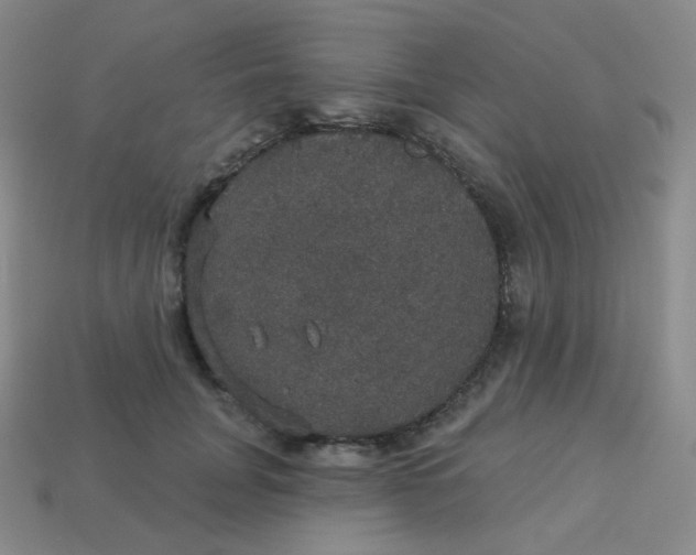 X0000113550751200910091304