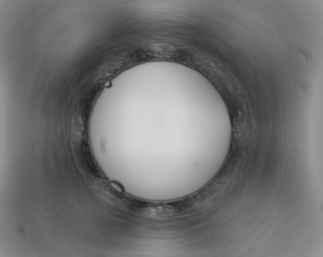 X0000113550752200910091304