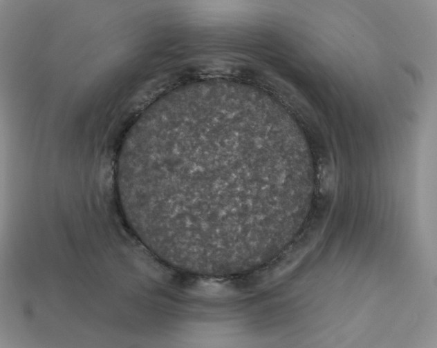 X0000113550753200910091304