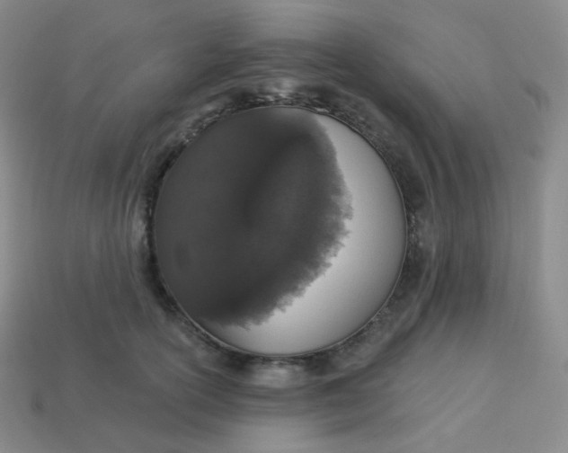 X0000113550754200910091304