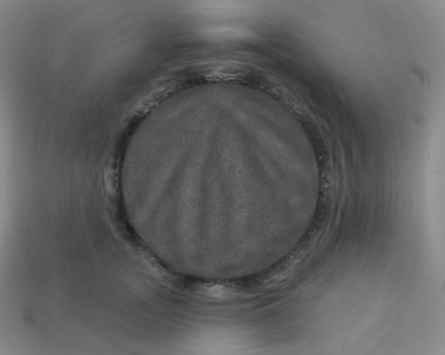 X0000113550755200910091304