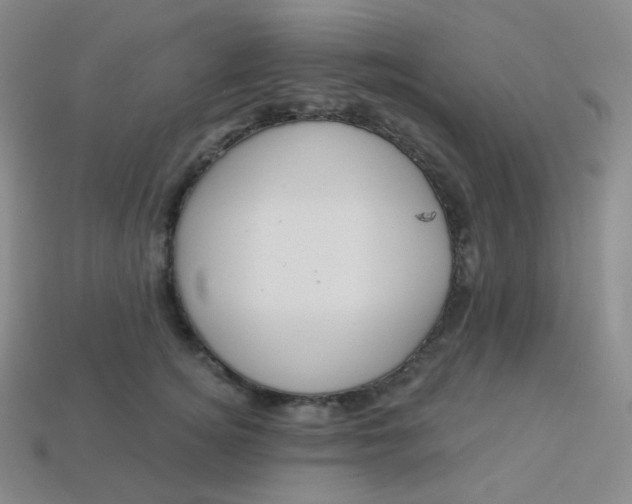 X0000113550756200910091304