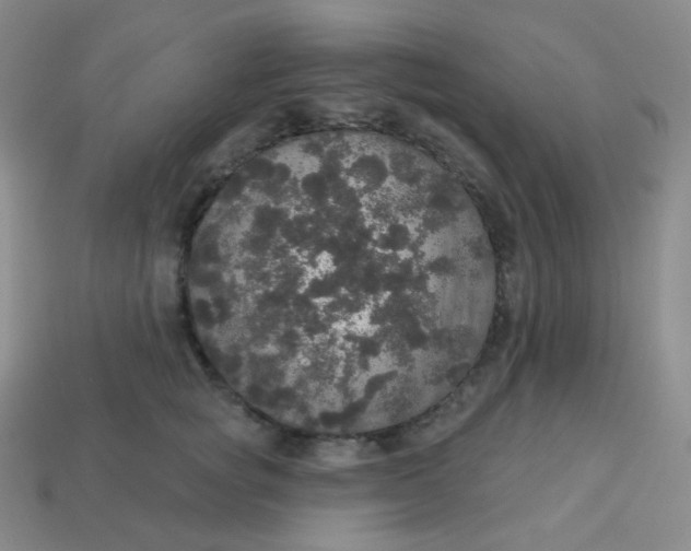 X0000113550757200910091304