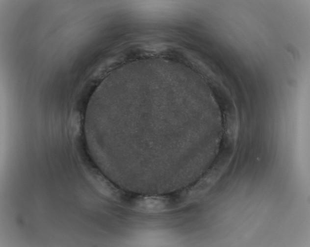 X0000113550758200910091304