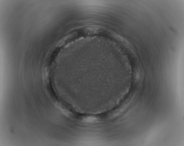 X0000113550759200910091304