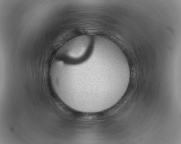 X0000113550760200910091304