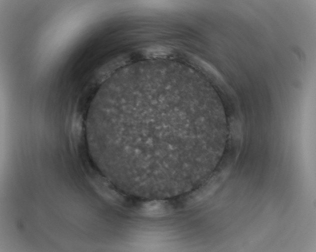 X0000113550761200910091304