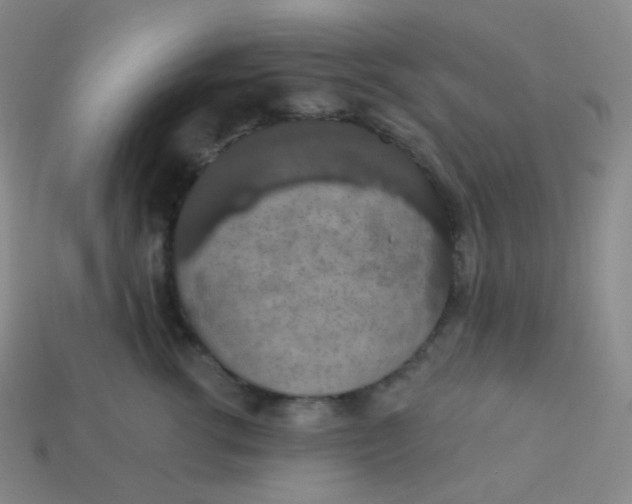 X0000113550762200910091304