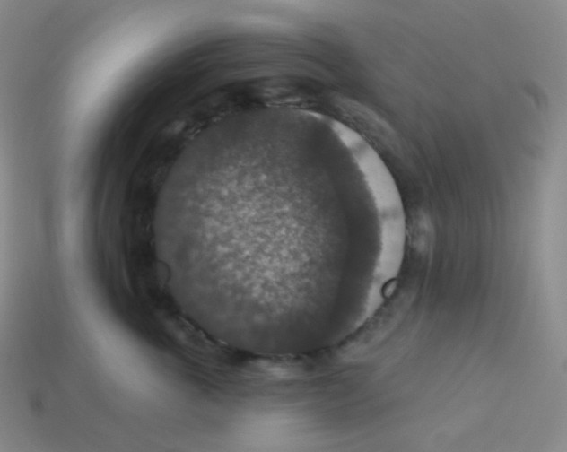 X0000113550763200910091304