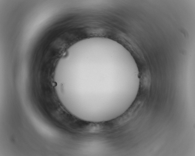 X0000113550764200910091304