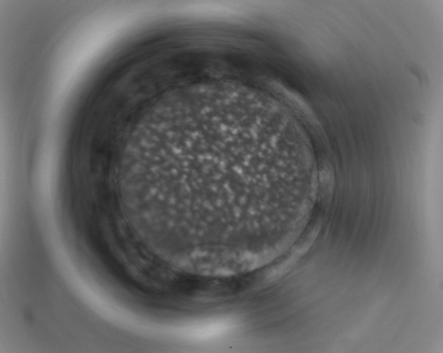 X0000113550765200910091304