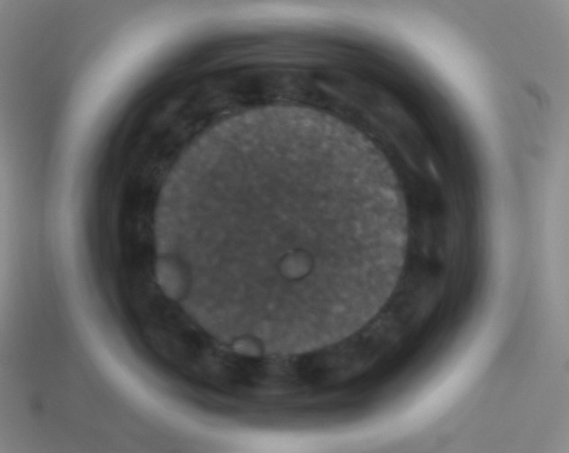 X0000113550766200910091304