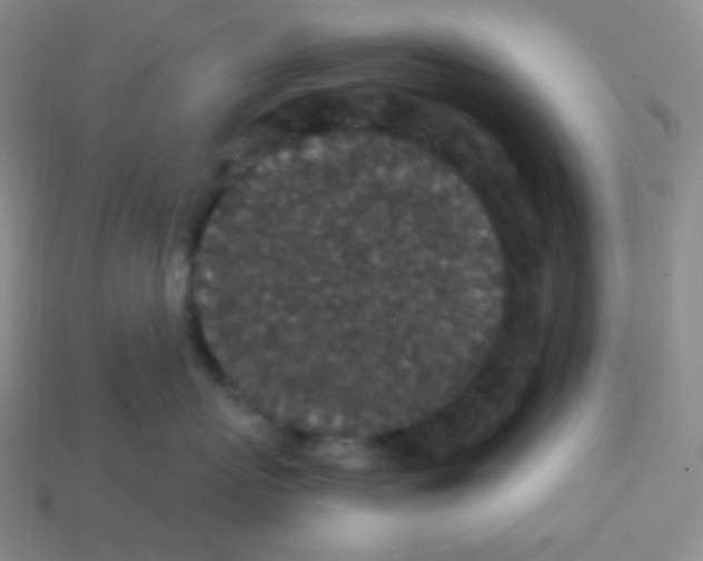 X0000113550767200910091304