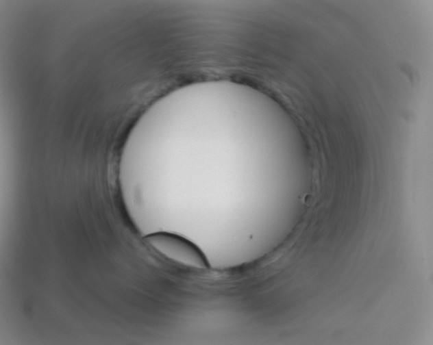 X0000113550768200910091304