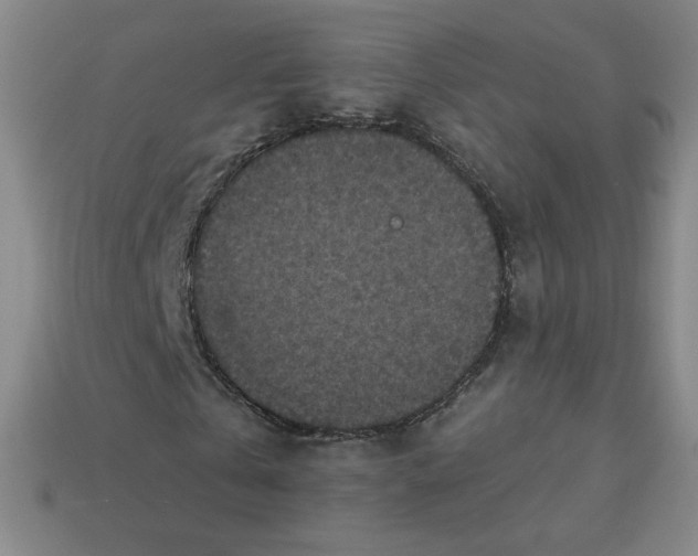 X0000113550769200910091303