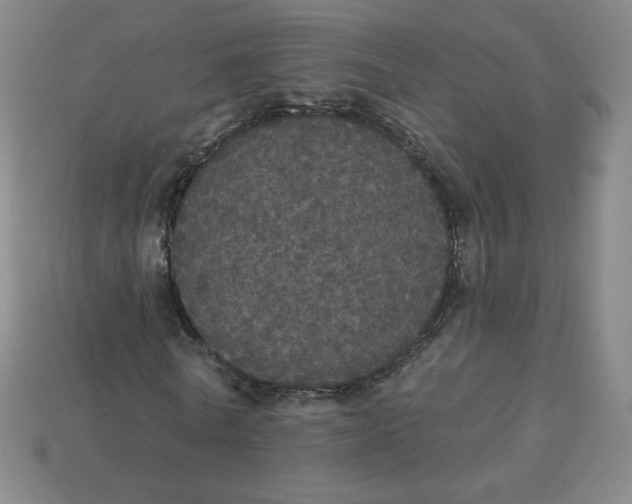 X0000113550770200910091303