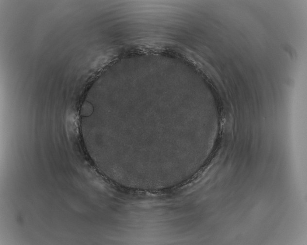 X0000113550772200910091303