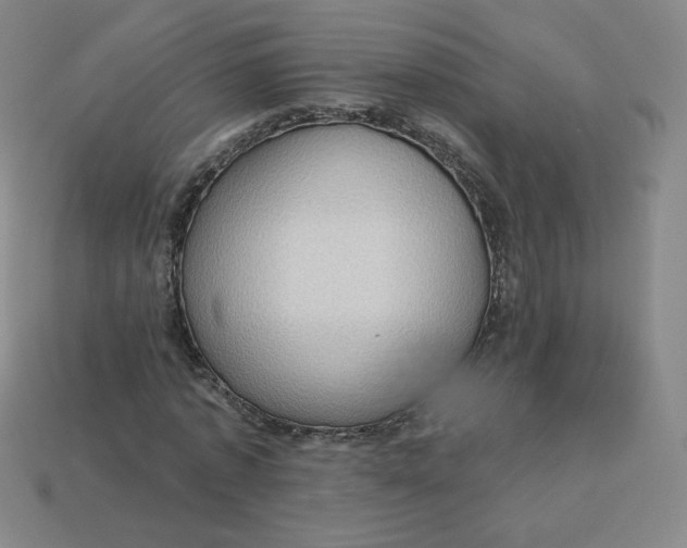 X0000113550773200910091303