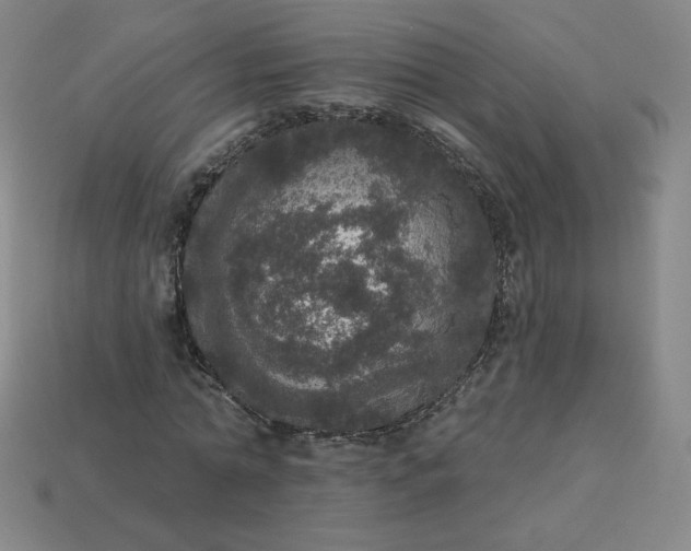 X0000113550774200910091303