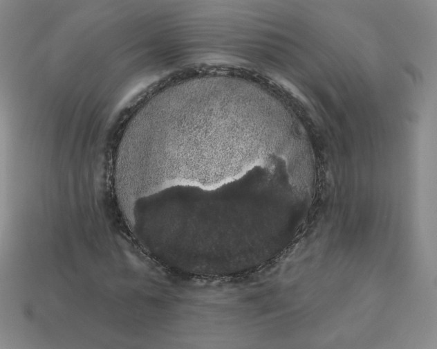 X0000113550775200910091303