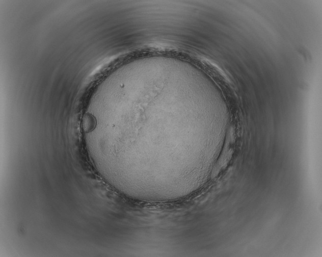 X0000113550776200910091303