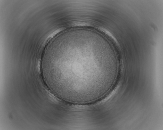 X0000113550777200910091303