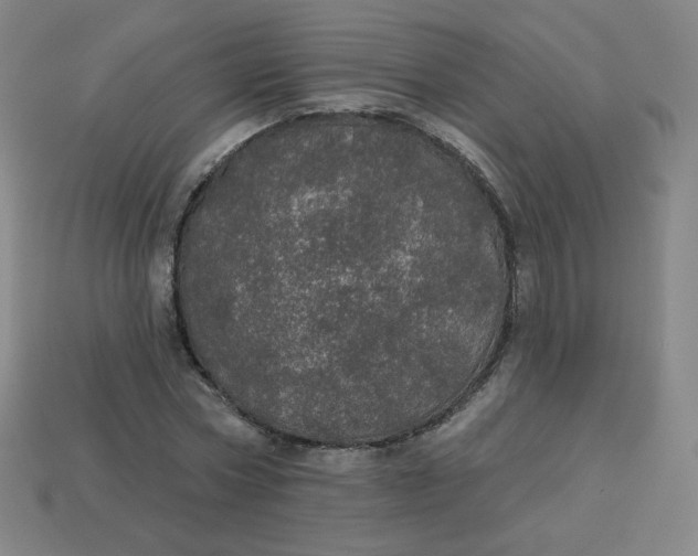 X0000113550778200910091303