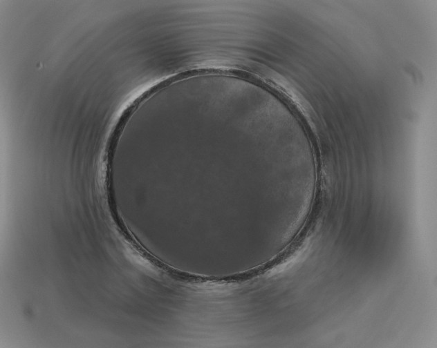 X0000113550779200910091303