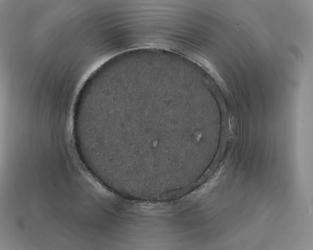 X0000113550780200910091303