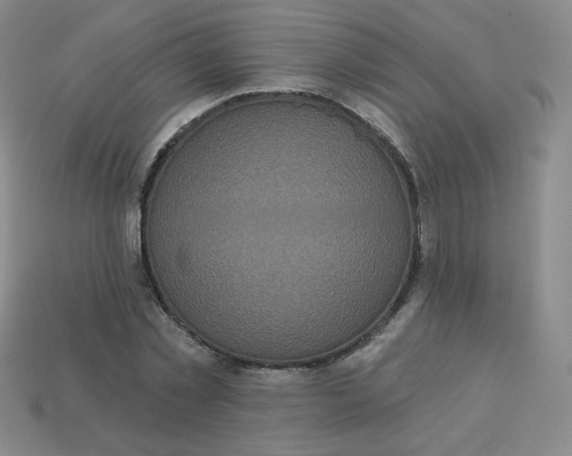 X0000113550781200910091303