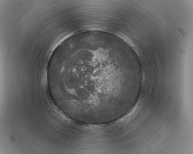 X0000113550782200910091303