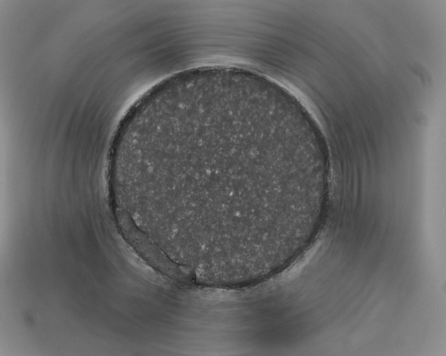 X0000113550783200910091303