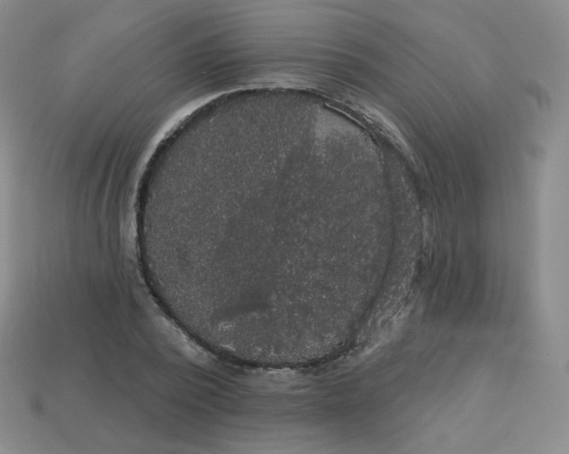 X0000113550784200910091303