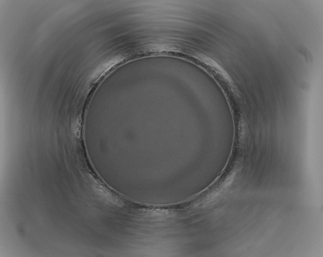 X0000113550785200910091303