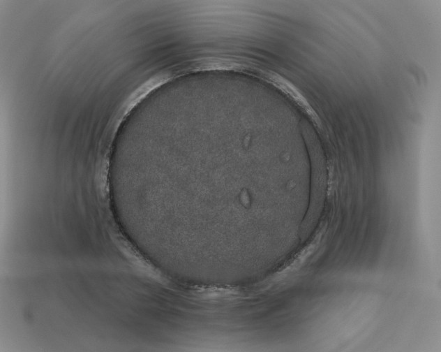 X0000113550786200910091303