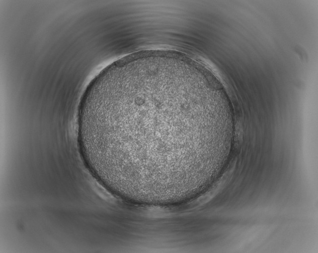 X0000113550787200910091303