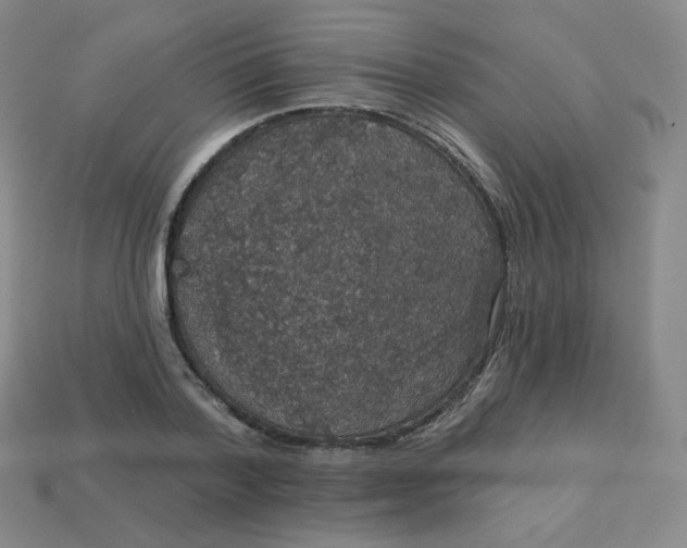 X0000113550788200910091303