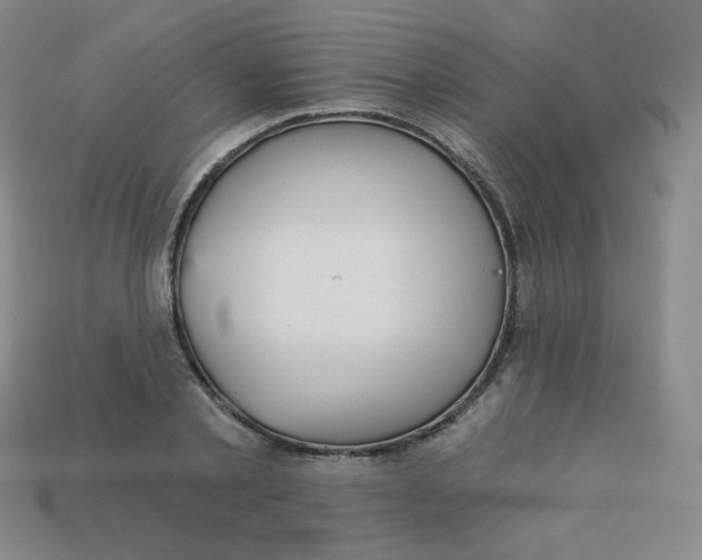 X0000113550789200910091303