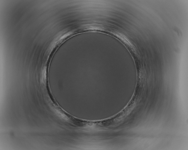 X0000113550790200910091303