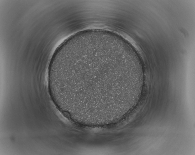 X0000113550791200910091303