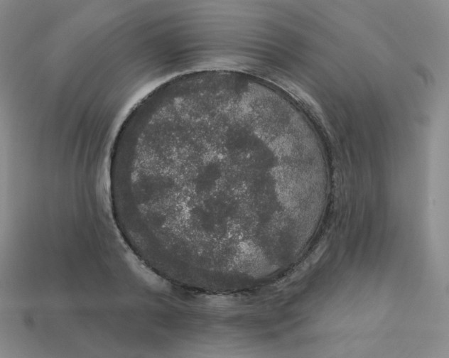 X0000113550792200910091303