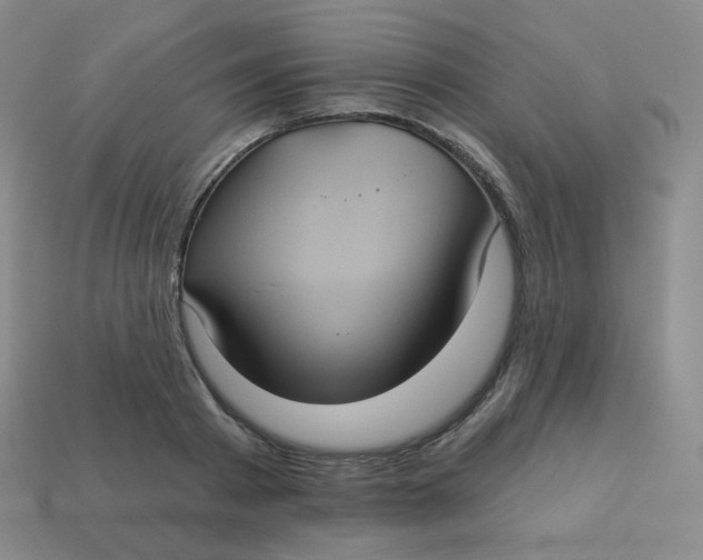 X0000113550793200910091303