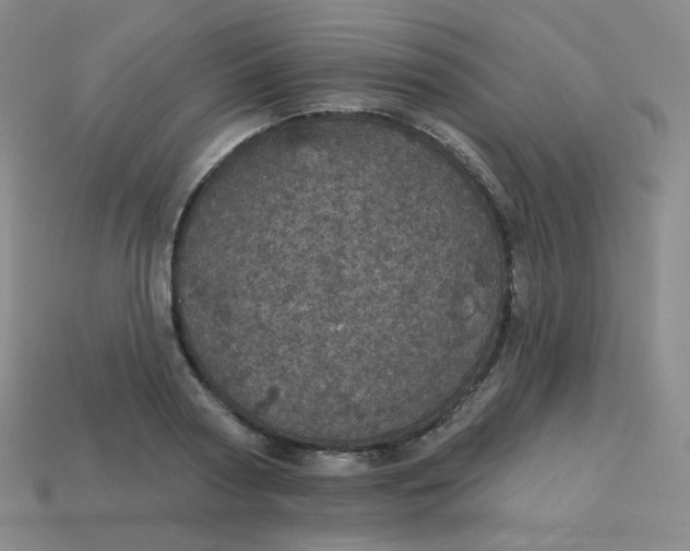 X0000113550794200910091303