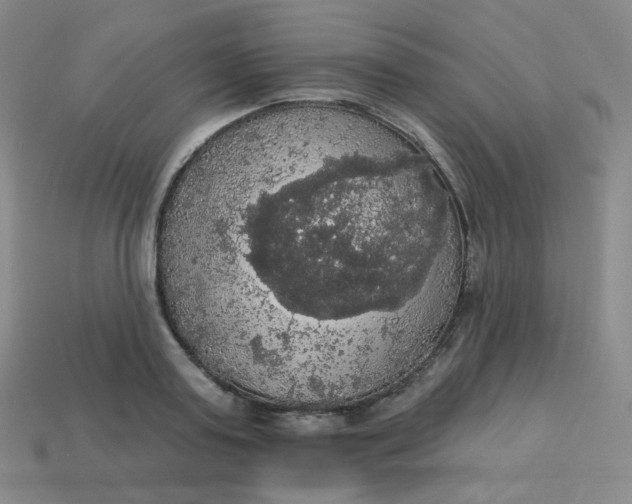 X0000113550795200910091303