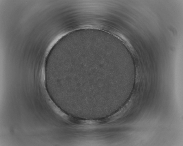 X0000113550796200910091303