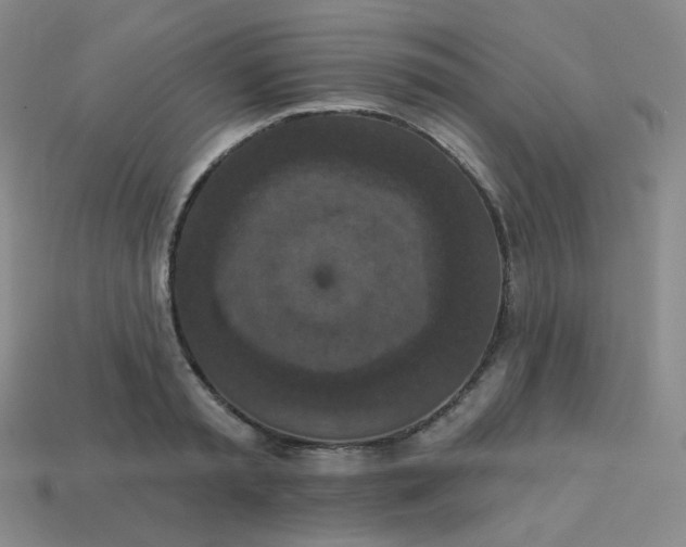 X0000113550797200910091303